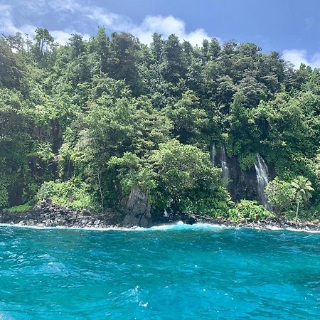 Taveuni Palms Resort Matei Buitenkant foto