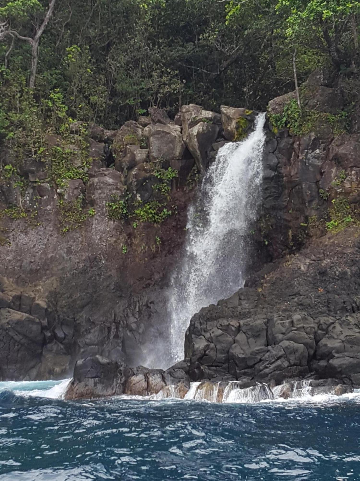 Taveuni Palms Resort Matei Buitenkant foto