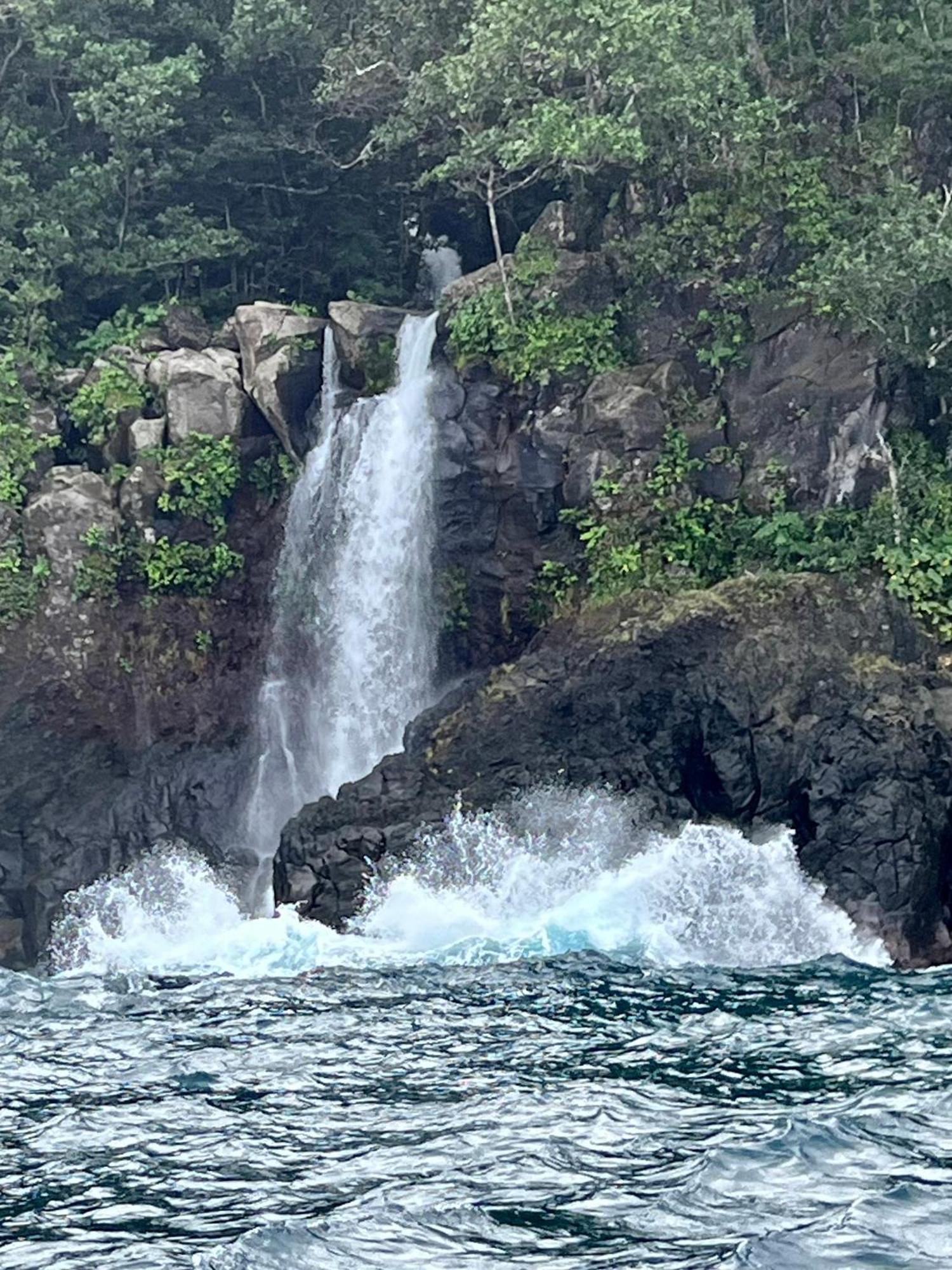 Taveuni Palms Resort Matei Buitenkant foto